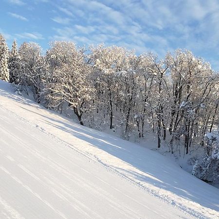 Resort Inn Murata อิยามะ ภายนอก รูปภาพ